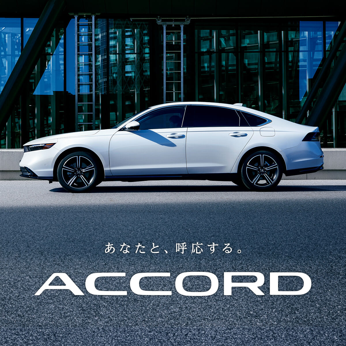 ACCORD