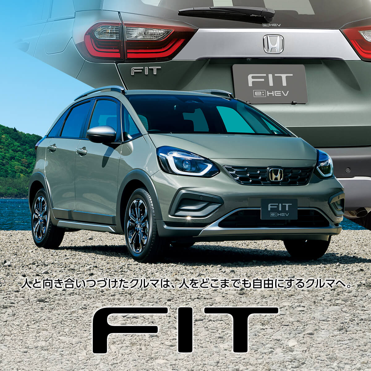 FIT